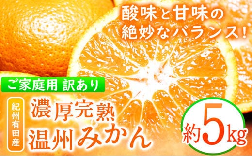 【先行予約】【ご家庭用訳アリ】 紀州有田産 濃厚完熟温州みかん 約5kg 魚鶴商店《2025年11月下旬-2026年2月上旬頃出荷予定》 和歌山県 日高町 みかん 温州みかん 完熟 濃厚 柑橘 ご家庭用---wsh_utshkaum_l112_23_11000_5kg---