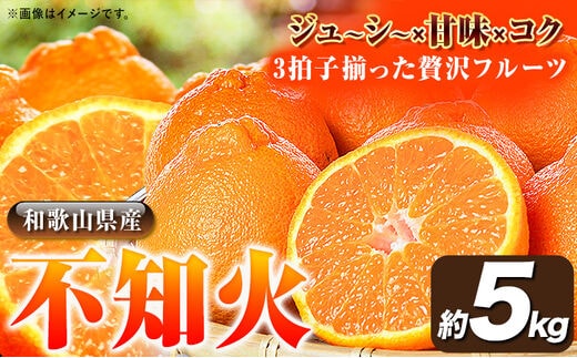 【先行予約】紀州有田産不知火(しらぬひ) 約5kg 株式会社魚《2026年2月上旬-3月下旬頃出荷》 和歌山県 日高町 不知火 しらぬい 柑橘---wsh_uot117_2c3c_25_15000_5kg---