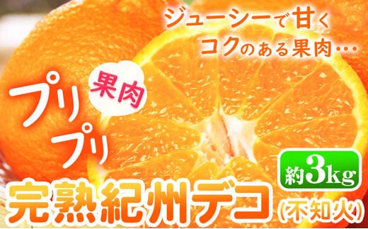 【先行予約】果肉プリプリ♪ 完熟紀州デコ(不知火) 約3kg 株式会社魚鶴《2026年2月下旬-3月中旬頃出荷》和歌山県 日高町 不知火 柑橘 果物 フルーツ---wsh_uot121_2g3c_25_13000_3kg---