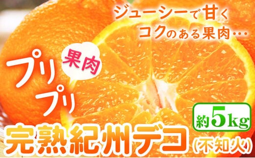 【先行予約】果肉プリプリ♪ 完熟紀州デコ(不知火) 約5kg 株式会社 魚鶴《2026年2月下旬-3月中旬頃出荷》和歌山県 日高町 不知火 柑橘 果物 フルーツ---wsh_uot122_2g3c_25_18000_5kg---