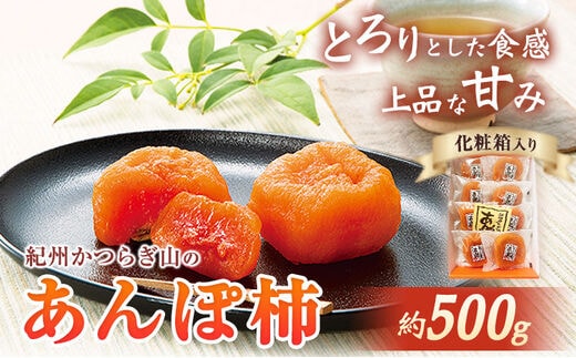 【先行予約】紀州かつらぎ山のあんぽ柿 化粧箱入 約500g 魚鶴商店《2026年1月中旬-1月末頃出荷予定》 和歌山県 日高町 かき 柿 あんぽ柿 ひらたねなし柿 紀州 かつらぎ山---wsh_utsktanpk_j1_23_13000_500g---