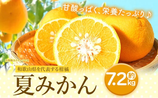 【先行予約】夏みかん 7.2kg 株式会社 魚鶴商店《2027年4月中旬-4月下旬頃出荷》 和歌山県 日高町 みかん 夏みかん 柑橘---wsh_uot140_4c4g_25_14000_7200g---
