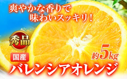 【先行予約】【秀品】希少な国産バレンシアオレンジ 5kg 株式会社 魚鶴商店《2026年6月下旬-7月上旬頃出荷》和歌山県 日高町---wsh_uot151_6g7j_25_16000_5kg---