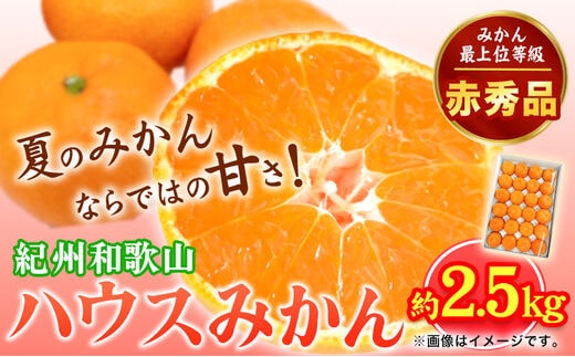 赤秀品 紀州和歌山 ハウス みかん 約 2.5kg 株式会社 魚鶴商店《2026年6月下旬-7月下旬頃出荷》和歌山県 日高町 みかん ミカン 蜜柑 フルーツ 柑橘---wsh_uot153_6g7g_25_21000_2500g---