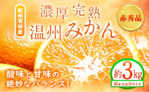 【先行予約】赤秀品 紀州有田産 濃厚完熟温州みかん 3kg(MサイズまたはSサイズ) 魚鶴商店《2026年11月下旬〜2027年1月下旬頃出荷予定》和歌山県 日高町 みかん ミカン 蜜柑 フルーツ 柑橘---wsh_uot156_11g1g_25_12000_3kg---