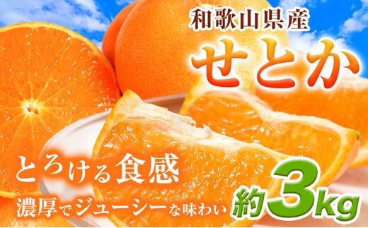 【先行予約】とろける食感!ジューシー柑橘 せとか 約3kg 魚鶴商店《2026年2月下旬-3月下旬頃出荷》 和歌山県 日高町 せとか 柑橘---wsh_uot113_2g3g_25_20000_3kg---