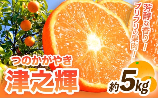 【先行予約】津之輝(つのかがやき) 約5kg 株式会社魚鶴商店《2026年2月上旬～3月中旬頃出荷予定》 和歌山県 日高町 柑橘 フルーツ---wsh_uot98_2j3c_25_16000_5kg---