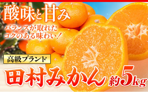 【先行予約】高級ブランド田村みかん 5kg 株式会社魚鶴商店《2023年11月下旬-2024年2月上旬頃出荷》 和歌山県 日高町 柑橘 フルーツ---wsh_uot92_11g2j_25_17000_5kg---