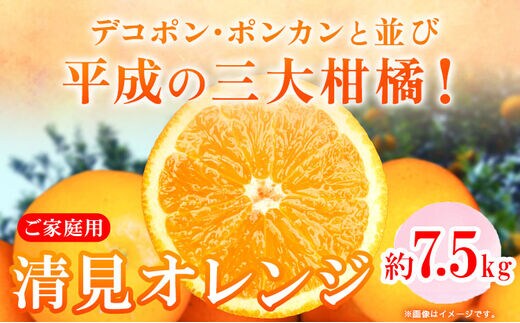 ＜先行予約＞【ご家庭用訳アリ】 紀州有田産清見オレンジ 約7.5kg 株式会社魚鶴商店《2027年3月下旬-4月下旬頃出荷》 和歌山県 オレンジ 柑橘 ご家庭用---wsh_uot243_3g4g_26_16000_7500g---