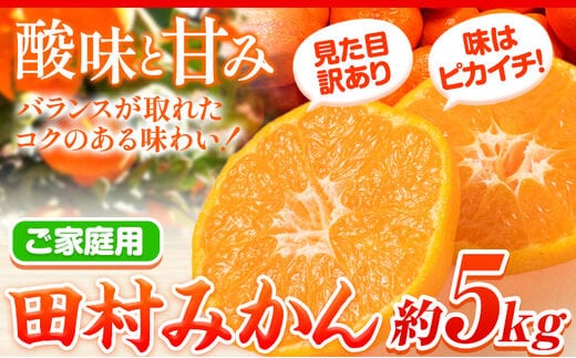 【ご家庭用 訳あり】田村みかん 5kg 株式会社魚鶴商店《2026年11月下旬-2027年1月下旬頃出荷》 和歌山県 日高町 柑橘 フルーツ---wsh_uot216_11g1g_25_14000_5kg---