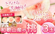 紀州和歌山産の桃　3玉　化粧箱入 魚鶴商店 《2026年6月下旬-8月上旬より発送予定》  和歌山県 日高町桃もも白桃モモ---wsh_cuot157_6g8j_25_9000_3t---｜ あかつき桃白鳳桃日川白鳳桃八旗白鳳桃桃清水白桃桃川中島白桃つきあかり桃もも桃はくとう桃桃和歌山の桃白桃桃