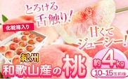 紀州和歌山産の桃　約1.8kg 5～8玉　化粧箱入 魚鶴商店 《2027年6月下旬-8月上旬より発送予定》 和歌山県 日高町 モモ---wsh_cuot160_6g8j_25_17000_18g---｜ あかつき桃白鳳桃日川白鳳桃八旗白鳳桃桃清水白桃桃川中島白桃つきあかり桃和歌山の桃白桃桃