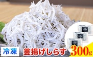 冷凍釜揚げしらす 300g 大五海産《60日以内に出荷予定(土日祝除く)》 和歌山県 日高町 釜揚げ しらす 冷凍---wsh_fdig4_60d_23_10000_300g---