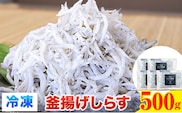 冷凍釜揚げしらす 500g 大五海産《60日以内に出荷予定(土日祝除く)》 和歌山県 日高町 釜揚げ しらす 冷凍 シラス 釜揚げシラス 海産物 海鮮 海鮮丼 丼 シラス丼 しらす丼---wsh_fdig1_60d_23_12000_500g---
