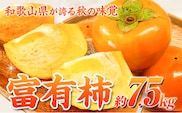 ＜先行予約＞和歌山 秋の味覚 富有柿 約7.5kg 株式会社魚鶴商店《2026年11月中旬-12月上旬頃出荷》和歌山県 日高町 柿 富有柿 フルーツ---wsh_uot204_11c12j_25_25000_75---