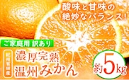 【先行予約】【ご家庭用訳アリ】 紀州有田産 濃厚完熟温州みかん 約5kg 魚鶴商店《2026年11月下旬-2027年1月下旬頃出荷》 和歌山県 日高町 みかん 温州みかん 完熟 濃厚 柑橘 ご家庭用---wsh_uot213_11g1g_25_11000_5kg---