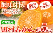 【ご家庭用 訳あり】田村みかん 5kg 株式会社魚鶴商店《2026年11月下旬-2027年1月下旬頃出荷》 和歌山県 日高町 柑橘 フルーツ---wsh_uot216_11g1g_25_14000_5kg---