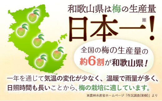 紀州南高梅 種ぬき 干し梅 5袋 おかざき酒店（日高町５）《90日以内に