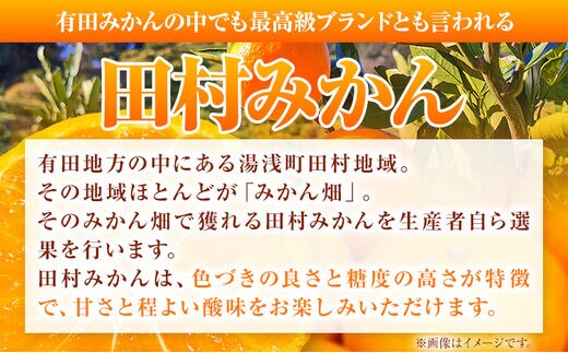 田村そだちみかんゼリー&ジュースセット 株式会社魚鶴商店《30日以内に