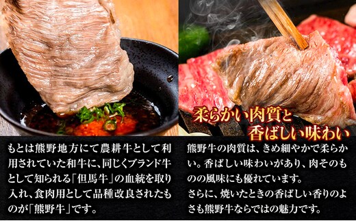 熊野牛 赤身ローストビーフ 500g(粉山椒付) 澤株式会社(Meat Factory