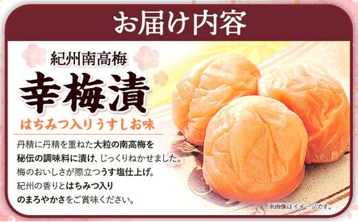 紀州南高梅 吉祥 梅干 食品 加工食品-