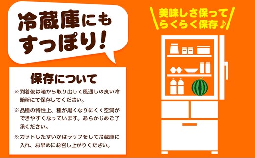 紀州和歌山産 小玉 スイカ 「ひとりじめ」 2玉 魚鶴商店《6月中旬-7月