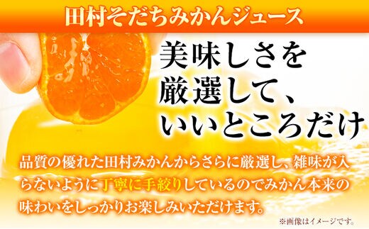 田村そだちみかんゼリー&ジュースセット 株式会社魚鶴商店《30日以内に