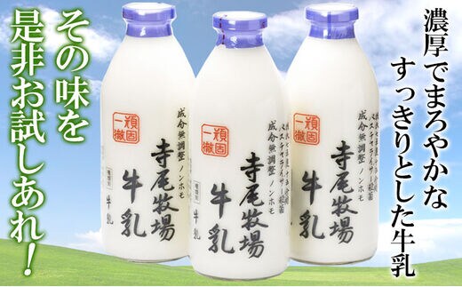 寺尾牧場のこだわり濃厚牛乳（ノンホモ牛乳）3本セット(900ml×3本