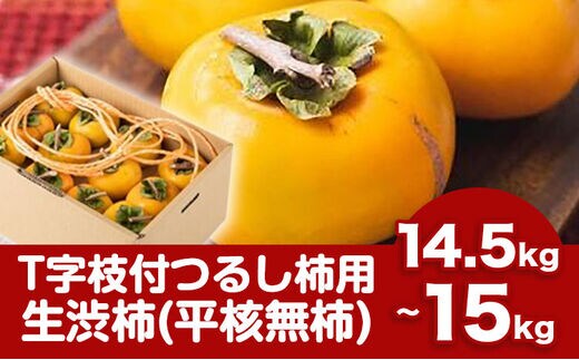 T字枝付つるし柿用生渋柿 14.5～15kg ふるさと農園《10月下旬-11月下旬頃出荷》---wsh_fst5_p1011_23_40000_15kg--