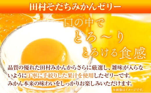 田村そだちみかんゼリー&ジュースセット 株式会社魚鶴商店《30日以内に