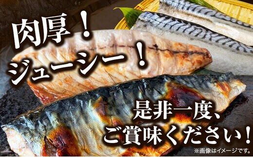 ご家庭用 塩さばフィレ3.5kg 株式会社魚鶴商店《30日以内に順次出荷