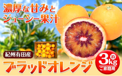 ＜先行予約＞紀州有田産 ブラッド オレンジ 約 3kg 【ご家庭用】 魚鶴商店《2027年3月上旬-3月下旬頃出荷》 和歌山県 日高町 紀州有田産 オレンジ みかん ご家庭用---wsh_huo7_a4_23_17000_3kg---