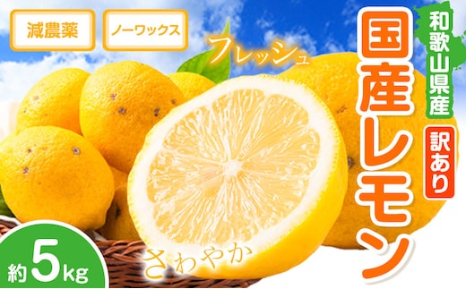 レモン 訳あり 国産 レモン 5kg (サイズ混合) ノーワックス 減農薬 どの坂果樹園《2026年2月上旬-5月末頃出荷》 和歌山県 日高町 レモン れもん 檸檬 家庭用 旬 新鮮 果物 柑橘 フルーツ 訳あり 大容量 Lemon lemon 送料無料---wsh_dsk4_ac25_24_10000_5kg---