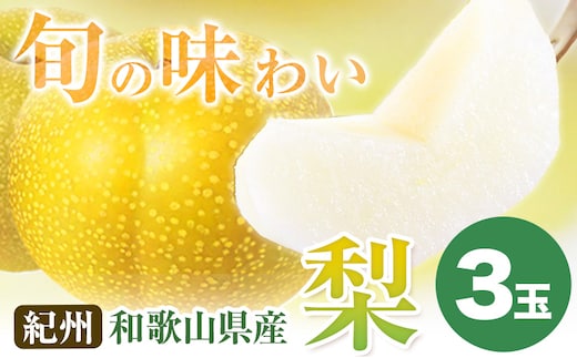 【先行予約】紀州和歌山県産の梨 3玉 化粧箱入 魚鶴商店《8月中旬-9月上旬より発送予定(土日祝除く)》和歌山県 日高町 和歌山県産 梨 なし ナシ 贈り物 ギフト---wsh_uot50_8c9j_24_10000_3t---