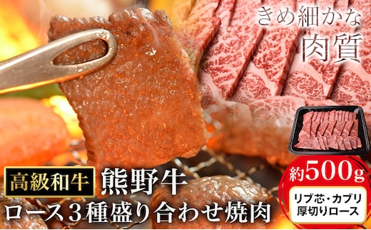 和歌山産 高級和牛 熊野牛 ロース盛合せ焼肉 約500g エバグリーン《30日以内に出荷予定(土日祝除く)》 和歌山県 日高町 牛 うし 牛肉 熊野牛 和牛 高級---wsh_fevg16_30d_24_27000_500g---