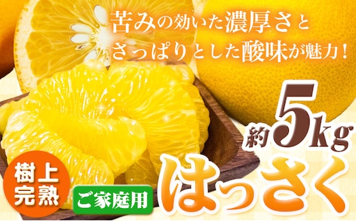 樹上完熟 ご家庭用 訳あり はっさく 八朔 みかん 5kg ＋150g (傷み補償分) 池田鹿蔵農園 @日高町《4月上旬-5月下旬頃出荷》和歌山県 日高町 送料無料 はっさくみかん 家庭用 光センサー選別 訳あり八朔 訳ありはっさく【配送不可地域あり】---wsh_idn323_4j5m_25_12000_5kg---