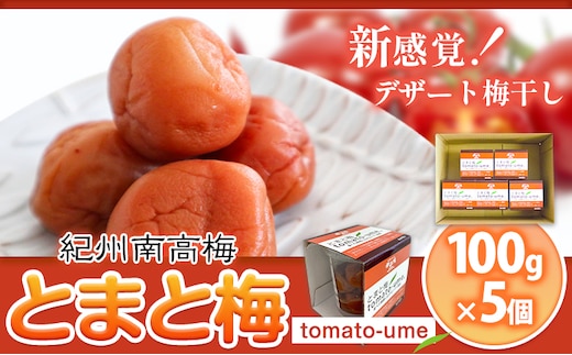 南高梅 tomato-ume とまと 梅 100g×5 有限会社プラム《30日以内に出荷予定(土日祝除く)》和歌山県 日高町 送料無料 梅 うめ ウメ 南高梅 紀州 トマト梅 送料無料---wsh_plm11_30d_25_10000_500g---