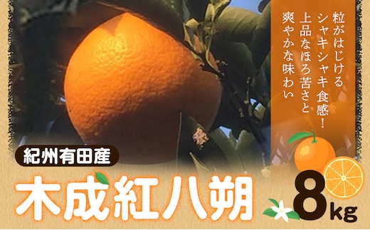 【先行予約】紀州和歌山産 木成紅八朔 8kg 株式会社魚鶴商店(大鶴商店)《2月下旬-3月中旬頃出荷》和歌山県 日高町 紀州和歌山産 木成紅八朔 はっさく ハッサク 八朔 紅八朔 柑橘 果物 フルーツ---wsh_uot235_2g3c_26_18000_8kg---