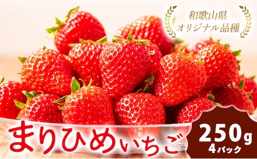 紀州和歌山県ブランドいちご「まりひめ」約250g×4パック 計1kg 株式会社魚鶴商店《2026年3月上旬-3月下旬頃出荷》和歌山県 日高町 いちご 苺 まりひめ フルーツ 果物 スイーツ 送料無料 ---wsh_cuot101_3j3g_25_18000_4p---