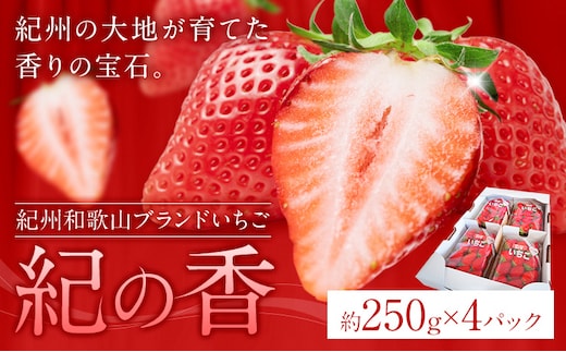 【先行予約】いちご イチゴ 苺 フルーツ 果物 紀州和歌山 ブランドいちご 紀の香 250g × 4パック 1kg 1000g 株式会社魚鶴商店《2027年2月上旬-2月下旬頃出荷》和歌山県 日高町 スイーツ 甘い ケーキ お菓子作り---wsh_cuot239_2j2g_26_20000_4p---