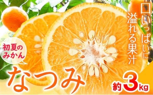 ＜先行予約＞初夏のみかん なつみ 3kg 株式会社魚鶴商店《2027年4月中旬-4月下旬頃出荷》 和歌山県 日高町 みかん なつみ 南津海 柑橘 果物 フルーツ 送料無料---wsh_uot138_4c4g_25_11000_3kg---