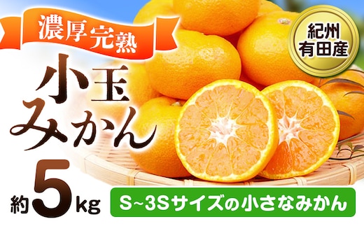 【先行予約】みかん 紀州有田産 濃厚完熟 小玉みかん 約5kg S～3Sサイズ 魚鶴商店《2026年11月下旬-12月下旬頃出荷》 和歌山県 日高町 みかん 小玉みかん 完熟 濃厚 柑橘 小玉 小さい---wsh_uot161_11g12g_25_17000_5kg---