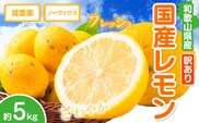 レモン 訳あり 国産 レモン 5kg (サイズ混合) ノーワックス 減農薬 どの坂果樹園《2027年2月上旬-5月末頃出荷》 和歌山県 日高町 レモン れもん 檸檬 家庭用 旬 新鮮 果物 柑橘 フルーツ 訳あり 大容量 Lemon lemon 送料無料---wsh_dsk3_ac25_24_10000_3kg---