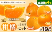 【発送月固定定期便】紀州 和歌山産 旬の ご家庭用 柑橘 セット (みかん 不知火 せとか 清見)【全4回】 計19kg 魚鶴商店《1月上旬-5月上旬頃出荷》 和歌山県 日高町 みかん 不知火 清見 オレンジ 柑橘 蜜柑 果物 訳あり 送料無料 定期便---wsh_uotteik8_25_54000_mo4num1---