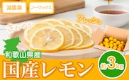 レモン 国産 レモン 3kg(L～4Lサイズ) ノーワックス 減農薬 どの坂果樹園《2027年2月上旬-5月末頃出荷》 和歌山県 日高町 レモン れもん 檸檬 旬 果物 フルーツ 柑橘 産地直送 送料無料---wsh_dsk4_ac25_24_10000_5kg---