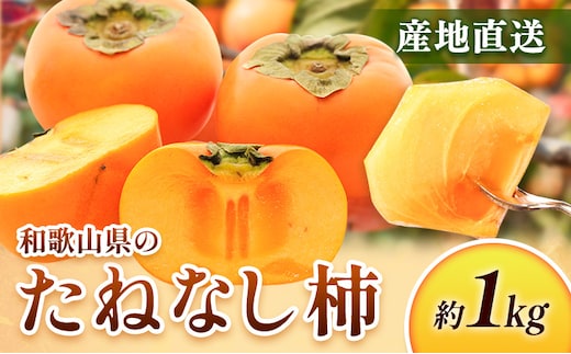 ＜10月より発送＞たねなし柿 約1kg 刀根早生 平核無柿 ひらたねなしかき 池田鹿蔵農園《10月上旬-12月上旬頃出荷》 和歌山県 日高町 柿 カキ かき たねなし ジューシー フルーツ 種無柿 種無し柿 種なし柿 無核柿---wsh_idn366_10j12j_26_8000_1kg---