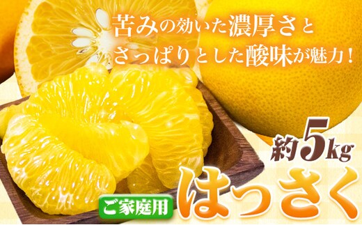＜1月より発送＞ご家庭用 訳あり はっさく 八朔 みかん 5kg+250g（傷み補償） 池田鹿蔵農園 日高町《2026年1月上旬-3月末頃出荷》和歌山県 日高町 送料無料 はっさくみかん 八朔 訳ありはっさく【配送不可地域あり】---wsh_idn318_1j3m_25_11000_5kg---
