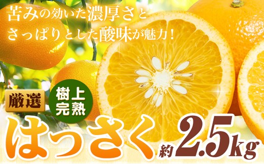 厳選 樹上完熟 はっさく 八朔 みかん 2.5kg＋250g 傷み補償分 池田鹿蔵農園 @日高町《4月上旬-5月末頃出荷》和歌山県 日高町 送料無料 はっさくみかん ハッサク 厳選八朔みかん【配送不可地域あり】---wsh_idn320_4j5m_25_9000_2500g---