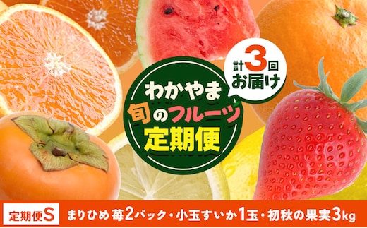 わかやま旬の フルーツ 定期便 【全3回】内容量 S 有田マルシェ《発送月固定・全3回出荷》 和歌山県 日高町 苺 いちご 柑橘 オレンジ 小玉 スイカ レモン みかん 有田 みかん 柿 果物 定期 柑橘 果物【配送不可地域あり】 ---wsh_arm60_30d_25_28000_s---