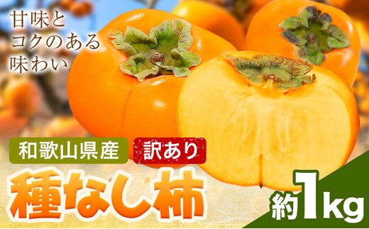 家庭用 種なし柿 約1kg 訳あり 池田鹿蔵農園《10月上旬-12月上旬頃出荷》和歌山県 日高町 刀根早生柿 平核無柿 ひらたねなしかき カキ 種なし柿---wsh_idn371_10j12j_26_7000_1kg---